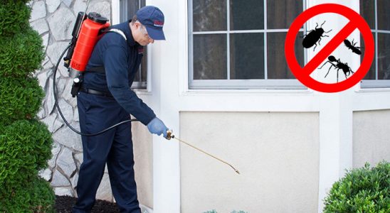 Otlukbeli Fare İlaçlama böcek ilaçlama ve haşere kontrolü — ilaclama-tr.com
